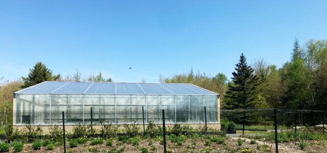 a small greenhouse in the middle of a field with lots of plants and trees around it