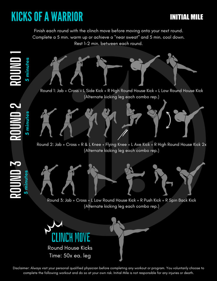 a poster with instructions on how to do martial moves for beginners and advanced athletes