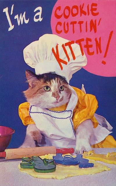 a cat wearing a chef's hat and apron sitting at a table with tools