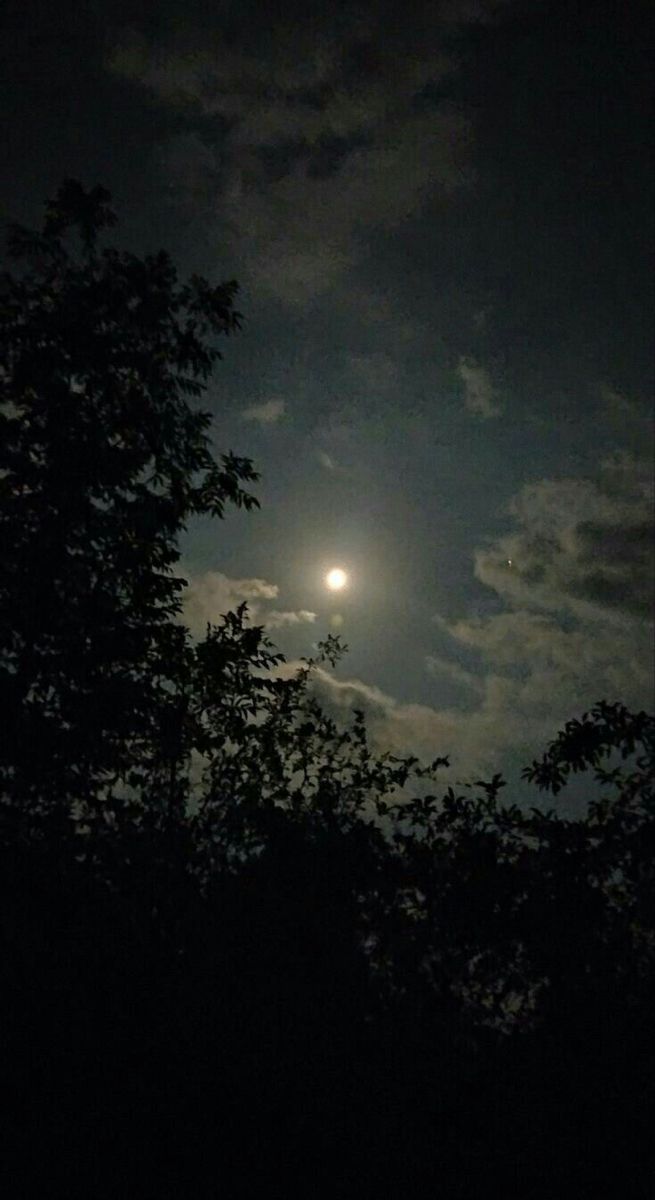 the moon is shining brightly in the night sky over some trees and bushes with dark clouds