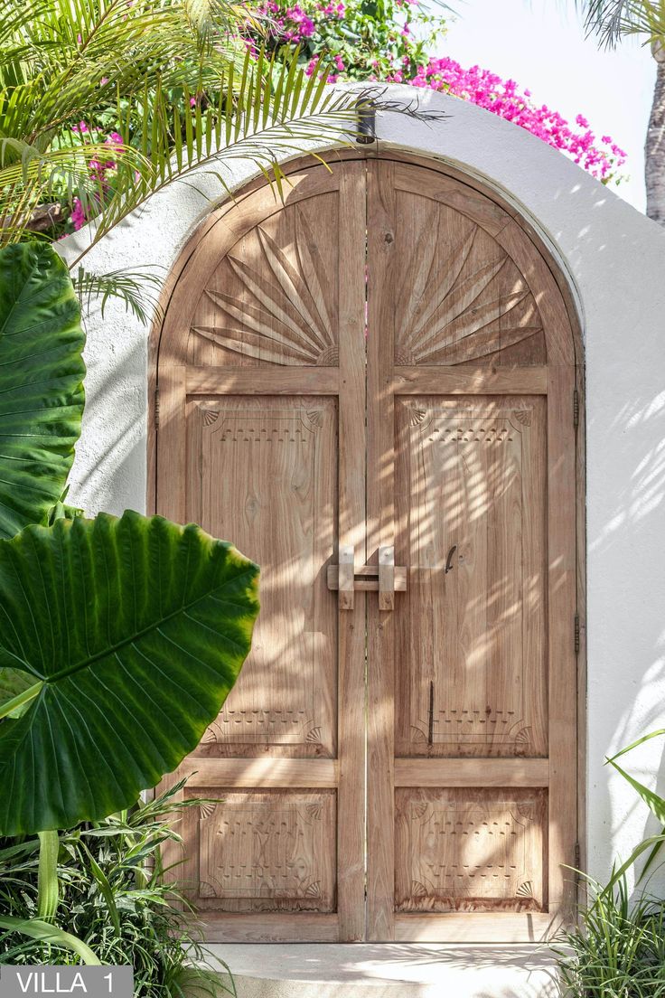 an arched wooden door in front of a palm tree