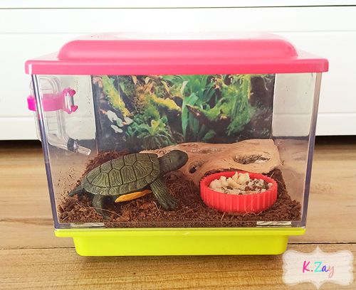 a plastic container filled with food and a small turtle in it's habitat on top of a wooden floor