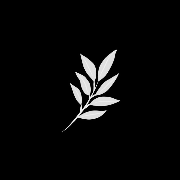 a black and white photo of a leaf on a dark background with the word,'leaves'written below it