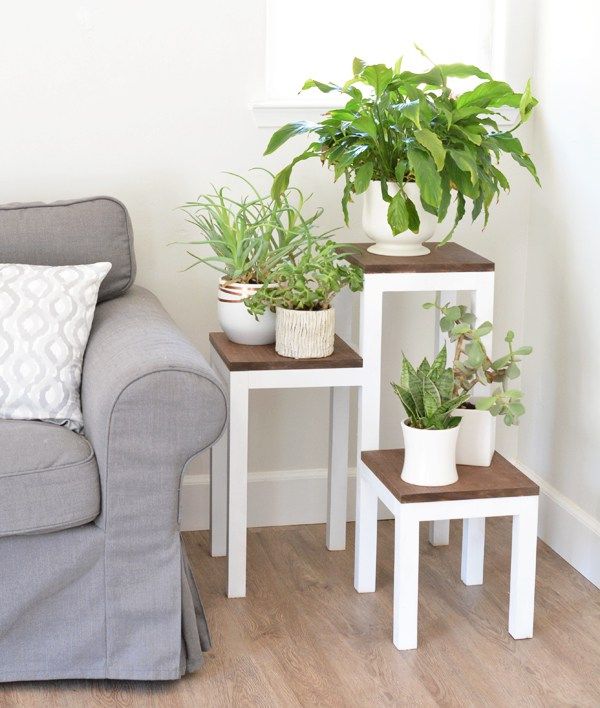 two plants are sitting on small tables in front of a gray couch and white wall