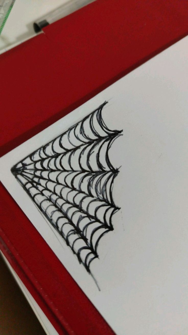 a drawing of a spider web on a piece of white paper in a red frame