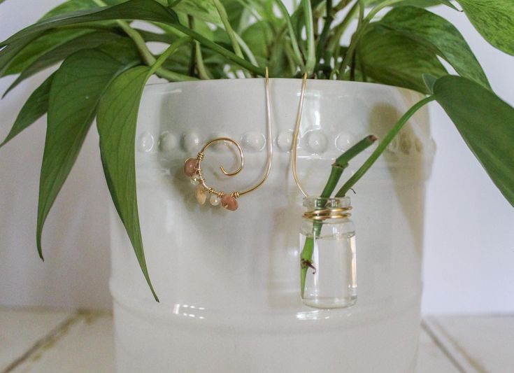 a vase with some plants in it and two earrings hanging off the side of it