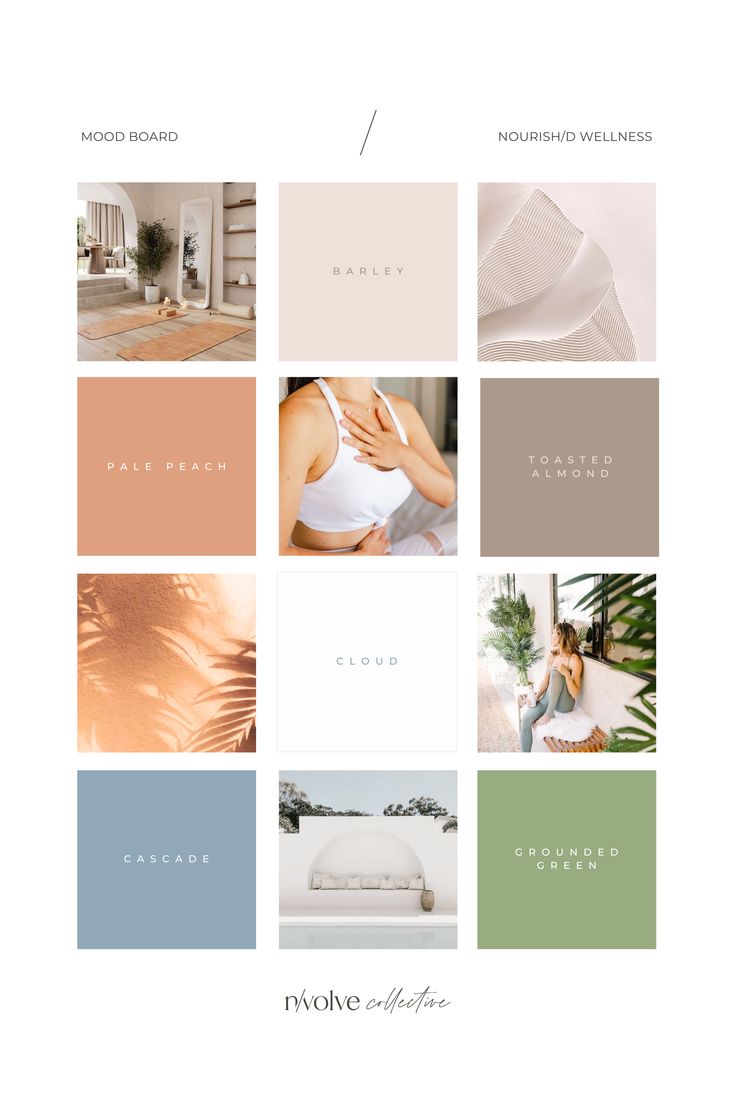 the homepage design for an interior and furniture store, with multiple color palettes