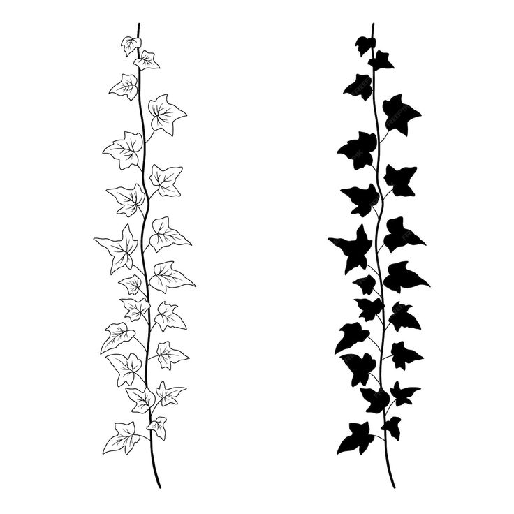 two black and white images of flowers with long stems, one on the left and one on the right