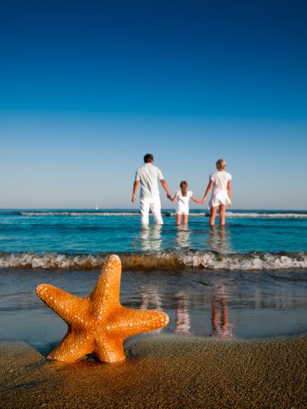 an orange starfish on the beach with two adults and one child in the background