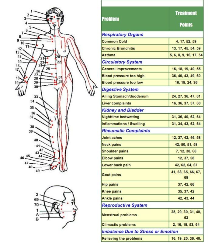 Cupping Points, Acupressure Chart, Reflexology Pressure Points, Acupuncture Charts, Acupuncture Points Chart, Pressure Point Therapy, Acupressure Therapy, Reflexology Chart, Acupressure Massage