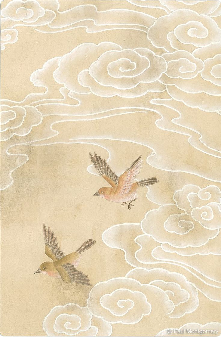 two birds flying in the sky with clouds