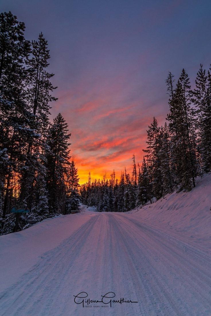 the sun is setting over a snow covered road with trees on both sides and an orange sky in the background