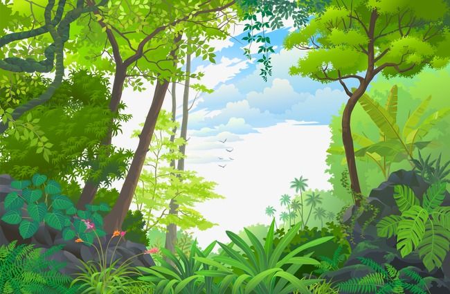 Forests PNG Image, Forest, Forest Vector, Beautiful Scenery, Trees PNG  Image For Free Download | Jungle images, Jungle pictures, Jungle mural