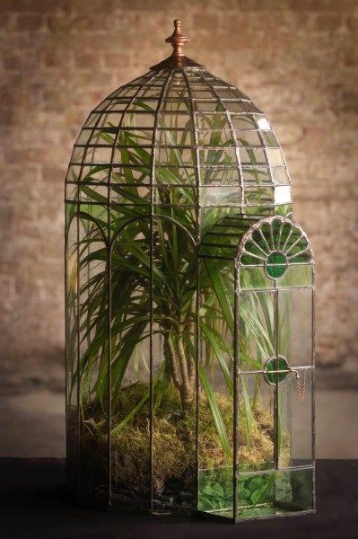 a green plant in a glass container with moss and plants inside it on a table