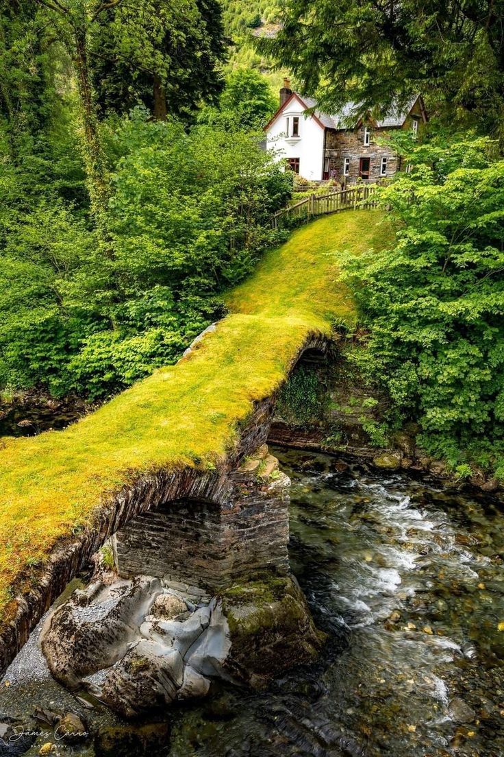 a moss covered bridge over a stream in the woods with a house on top of it