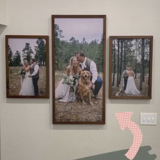 three framed photos hang on the wall next to a couple and their dog