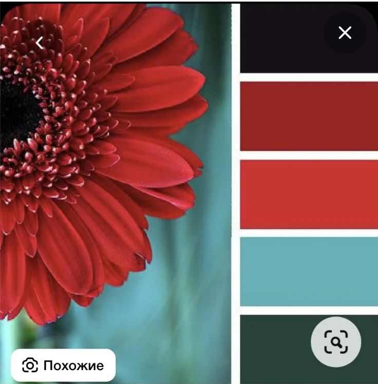 the color scheme is red, green and blue with a black center flower on it