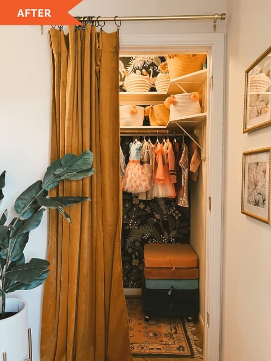 an open closet with clothes hanging on the rack and luggage behind it, next to a potted plant