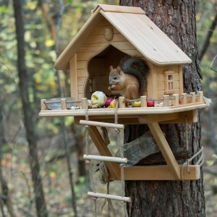 a squirrel in a tree house with food on the table and other items around it