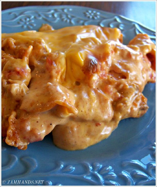 a blue plate topped with meat covered in gravy and cheese on top of it