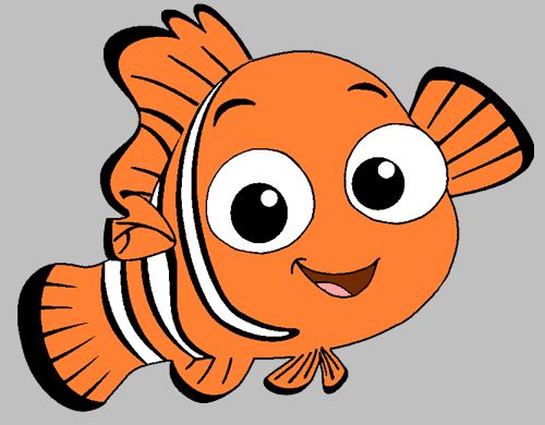 an orange fish with big eyes and a white stripe around it's neck, swimming in the water