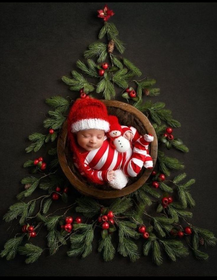 a baby in a basket with christmas decorations