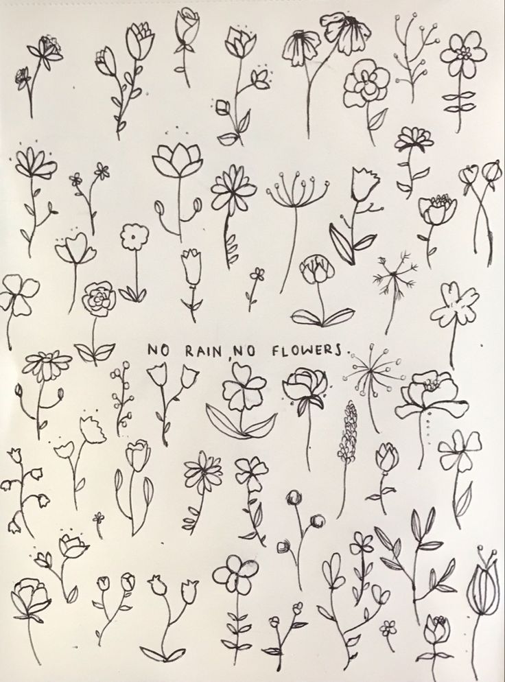 an image of flowers drawn in black ink on a white paper with the words no rain and flowers