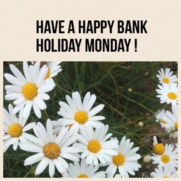 there is a happy bank holiday card with daisies in the foreground and text that reads, have a happy bank holiday monday