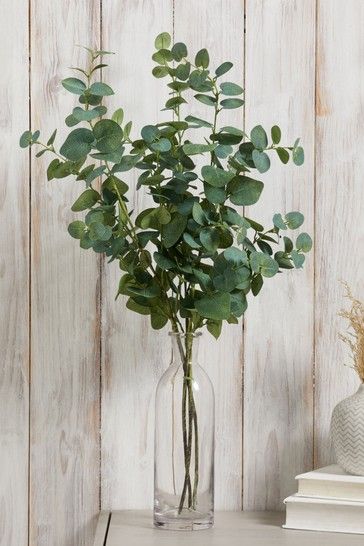 there is a vase with some green leaves in it on the table next to a book