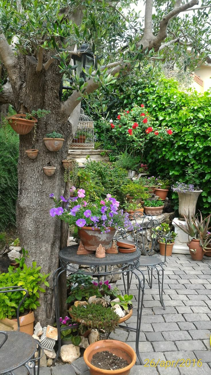 an outdoor garden with potted plants and trees