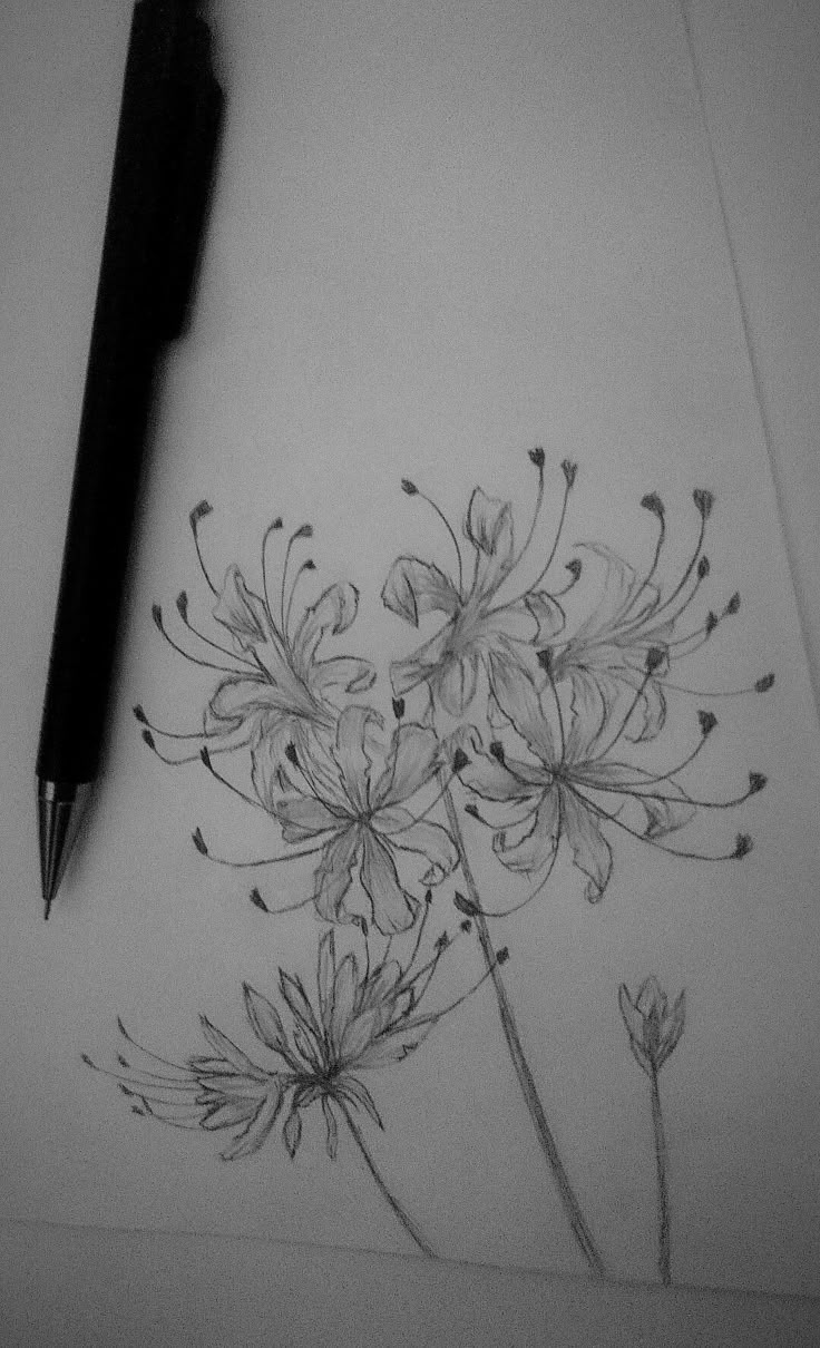 a pencil drawing of some flowers on a piece of paper with a pen next to it