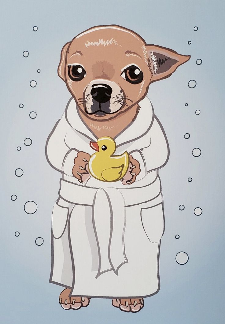 a dog in a bathrobe holding a rubber duck