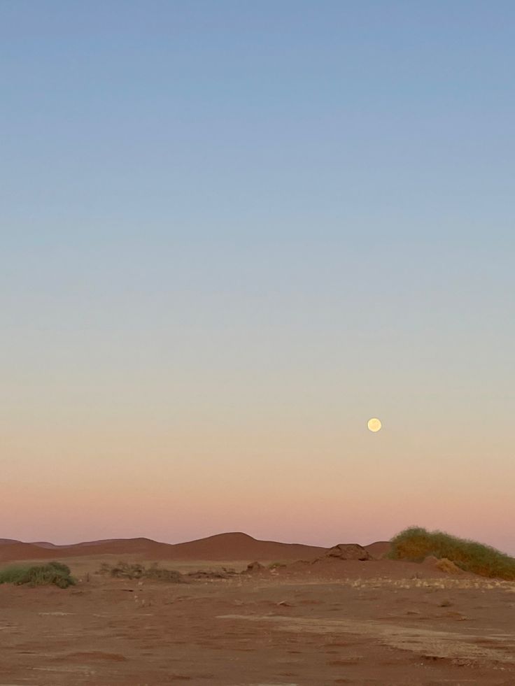 the moon is setting in the sky over an arid area with sparse grass and bushes