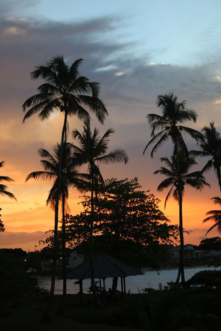 the sun is setting behind some palm trees