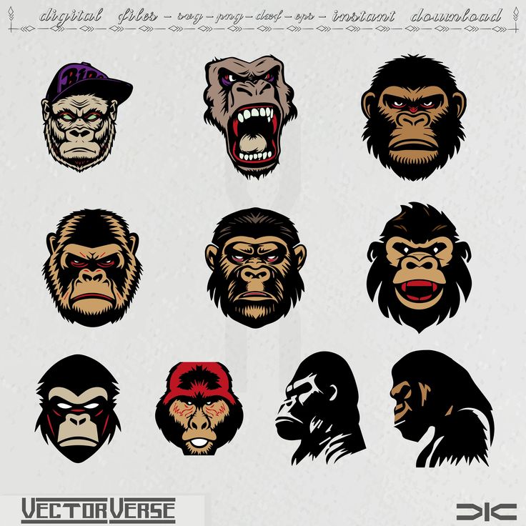 various types of monkeys with different facial expressions on their faces, including the head and shoulders