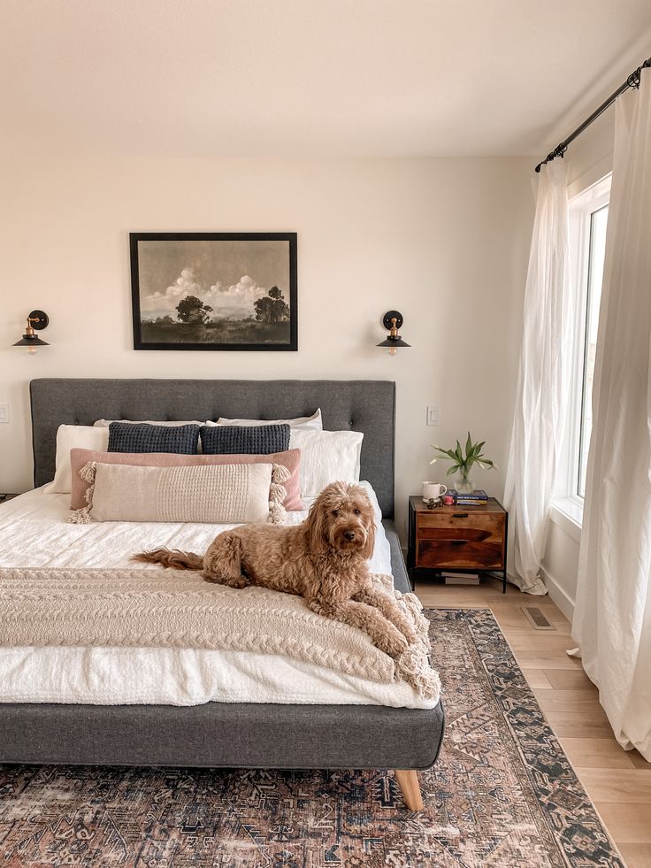 a dog laying on top of a bed in a bedroom