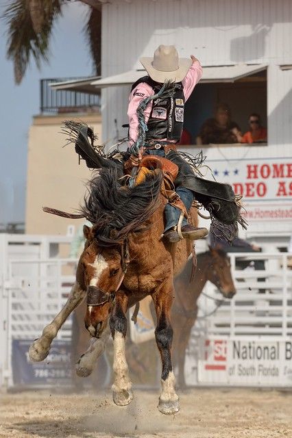 a man riding on the back of a brown horse