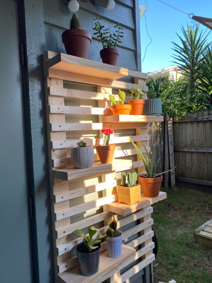 several potted plants are on wooden shelves in the back yard, along with other houseplants