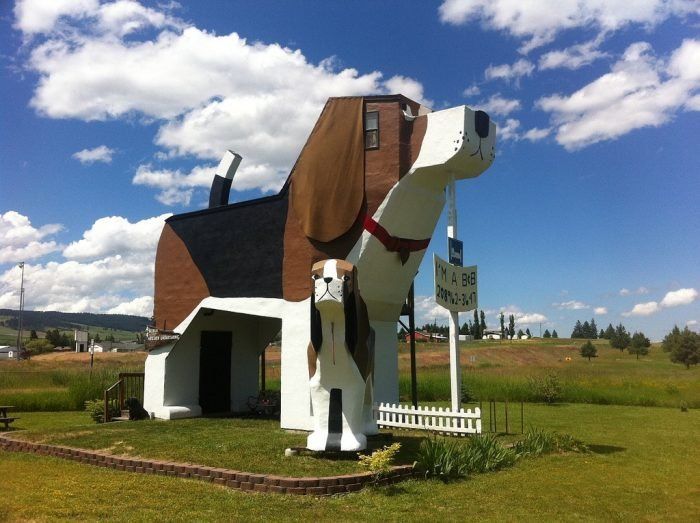 a large dog shaped building with a sign on it's side in the grass