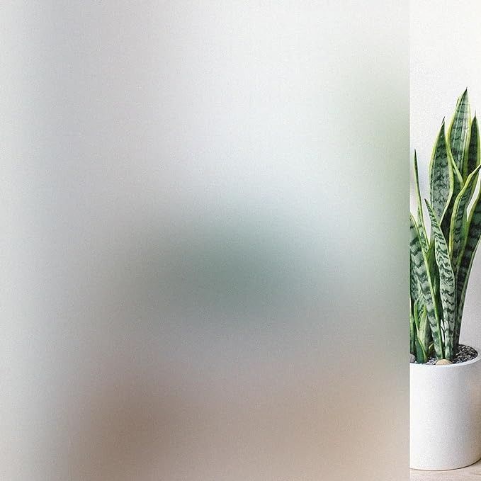 a potted plant sitting next to a white wall