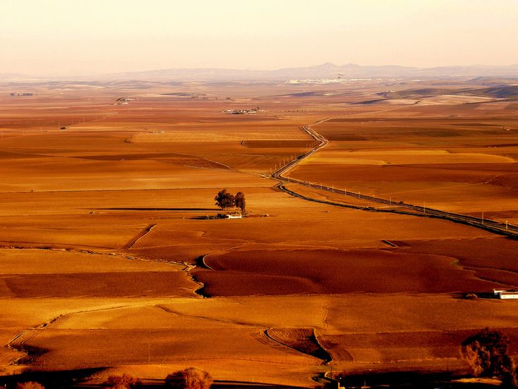 an aerial view of a farm land with a road running through it and trees in the distance