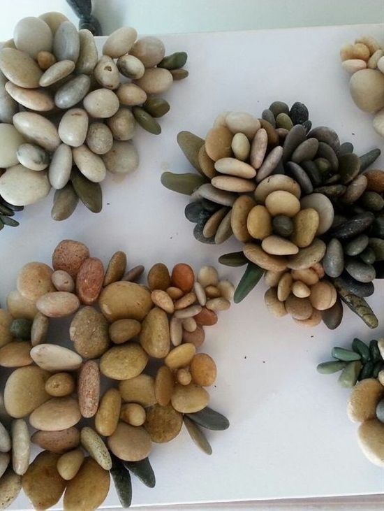 several different types of rocks and plants on a table