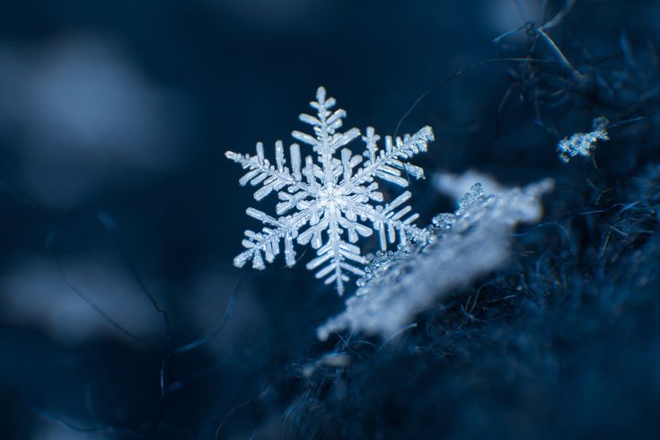 a snowflake that is sitting on the ground