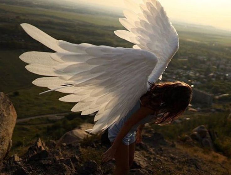 a girl with white wings on top of a hill looking down at the valley below