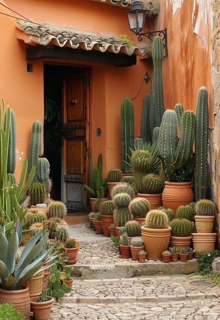 many cacti are growing in pots on the side of an orange building with a wooden door