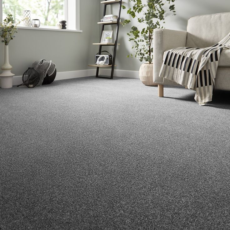 a living room with grey carpet and furniture