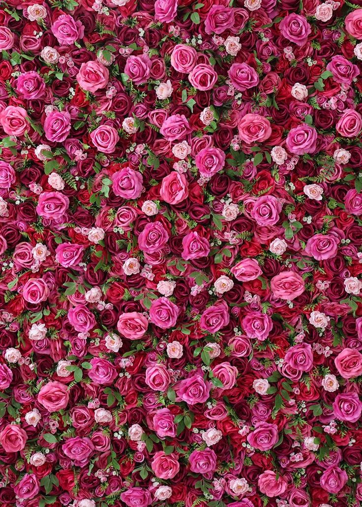 pink and red flowers are growing on the wall