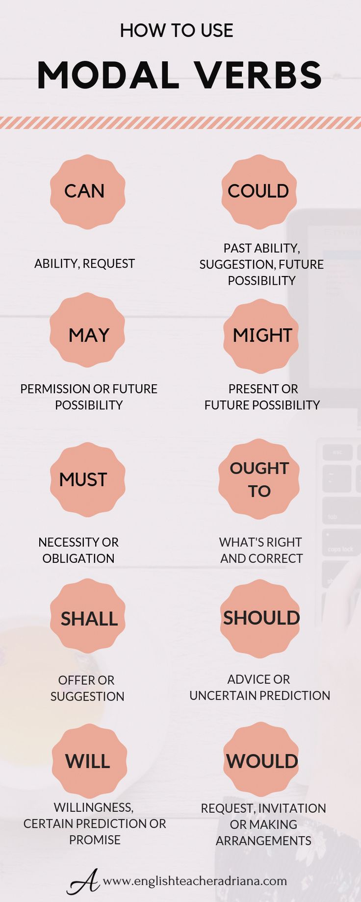 how to use modal verbs in english and spanish info graphic design typograph