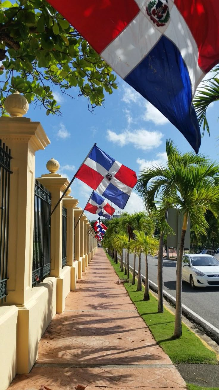 several flags flying in the wind next to a fence and palm trees on a sunny day