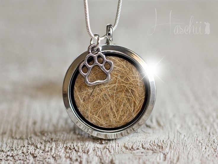 a dog's paw print is in the center of a round locke pendant on a chain